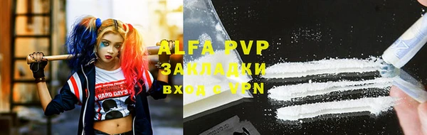 шишки Абаза