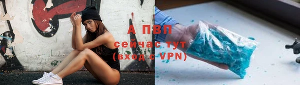 шишки Абаза