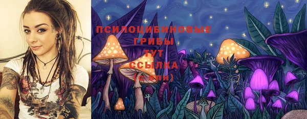 стафф Алексин