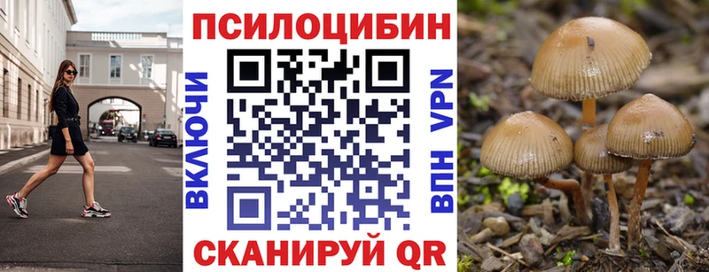 Галлюциногенные грибы MAGIC MUSHROOMS  Сокол 